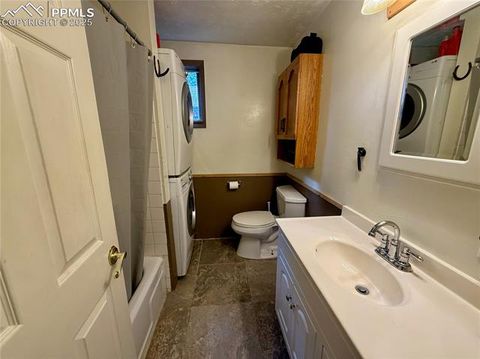 Tiny photo for 753 Will Stutley Drive, Divide, CO 80814 (MLS # 6265791)