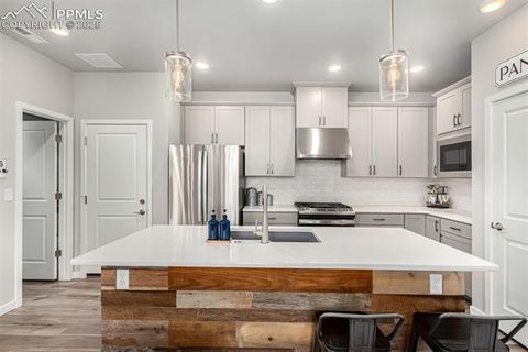 Tiny photo for 6358 Levity Heights, Colorado Springs, CO 80924 (MLS # 2181326)