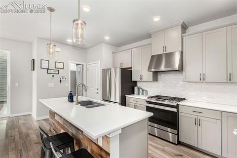 Tiny photo for 6358 Levity Heights, Colorado Springs, CO 80924 (MLS # 2181326)