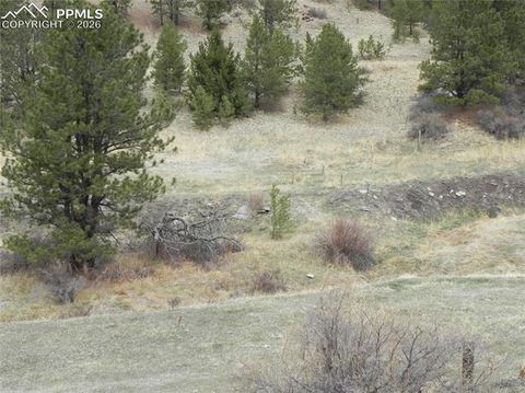 Photo of 521 Monarch Drive, Cripple Creek, CO 80813 (MLS # 7156324)