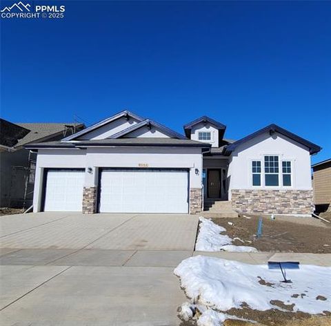 Photo of 6544 Miro Lane, Colorado Springs, CO 80924 (MLS # 6445928)