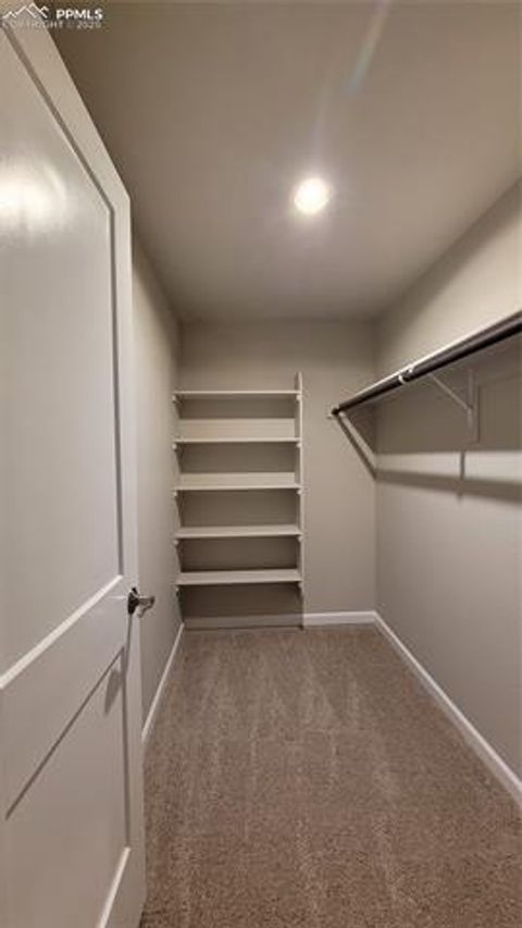 Tiny photo for 6544 Miro Lane, Colorado Springs, CO 80924 (MLS # 6445928)