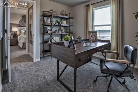 Tiny photo for 8570 Blue Feather Loop, Colorado Springs, CO 80908 (MLS # 8559724)