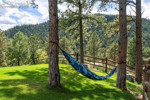 Tiny photo for 2441 Glen Cove Drive, Woodland Park, CO 80863 (MLS # 1837370)