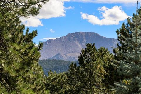 Tiny photo for 2441 Glen Cove Drive, Woodland Park, CO 80863 (MLS # 1837370)