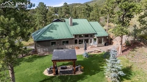 Tiny photo for 2441 Glen Cove Drive, Woodland Park, CO 80863 (MLS # 1837370)