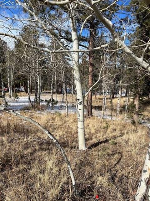 Photo of 630 PEMBROOK Drive, Woodland Park, CO 80863 (MLS # 6778174)