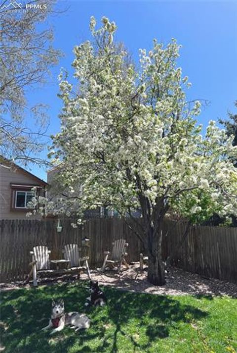 Tiny photo for 5011 Rushford Place, Colorado Springs, CO 80923 (MLS # 7572359)