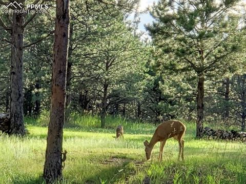 Tiny photo for 12855 Murphy Road, Elbert, CO 80106 (MLS # 3536912)