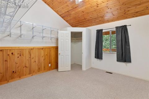 Tiny photo for 50 Worley Road, Divide, CO 80814 (MLS # 7349814)