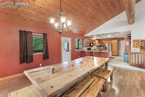 Tiny photo for 50 Worley Road, Divide, CO 80814 (MLS # 7349814)