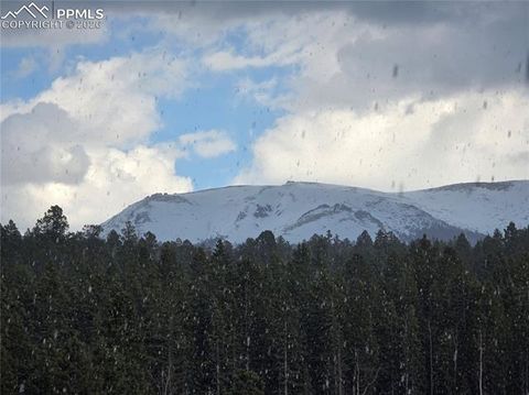 Tiny photo for 50 Worley Road, Divide, CO 80814 (MLS # 7349814)