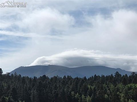 Tiny photo for 50 Worley Road, Divide, CO 80814 (MLS # 7349814)