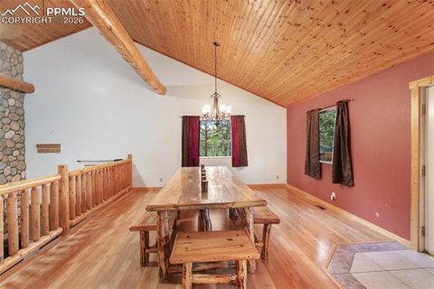 Tiny photo for 50 Worley Road, Divide, CO 80814 (MLS # 7349814)