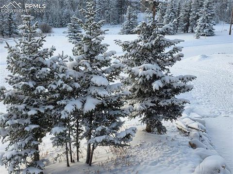 Tiny photo for 50 Worley Road, Divide, CO 80814 (MLS # 7349814)