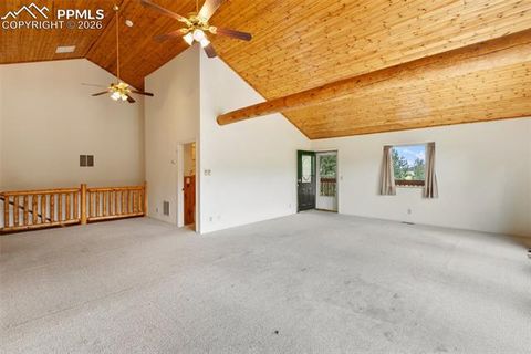 Tiny photo for 50 Worley Road, Divide, CO 80814 (MLS # 7349814)