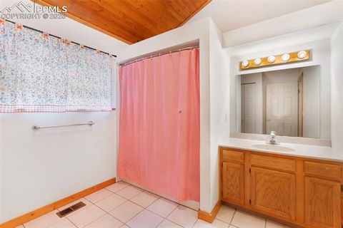 Tiny photo for 50 Worley Road, Divide, CO 80814 (MLS # 7349814)