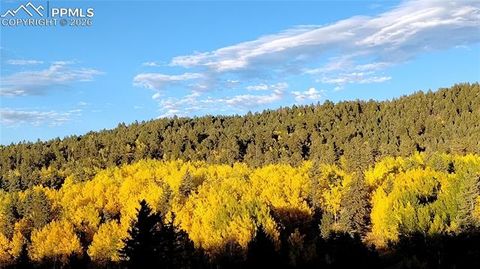 Tiny photo for 50 Worley Road, Divide, CO 80814 (MLS # 7349814)