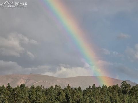 Tiny photo for 50 Worley Road, Divide, CO 80814 (MLS # 7349814)