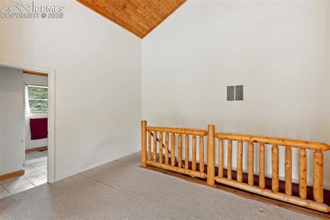 Tiny photo for 50 Worley Road, Divide, CO 80814 (MLS # 7349814)
