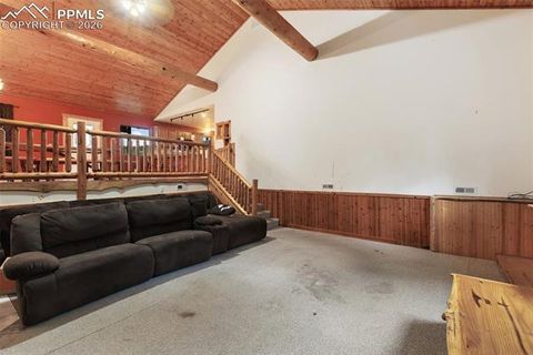 Tiny photo for 50 Worley Road, Divide, CO 80814 (MLS # 7349814)