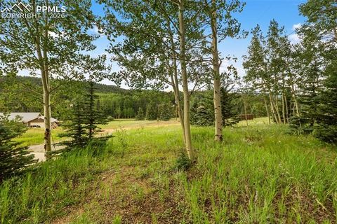 Tiny photo for 50 Worley Road, Divide, CO 80814 (MLS # 7349814)