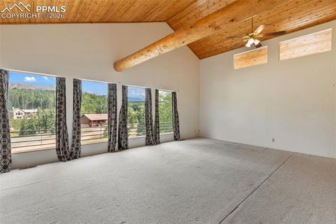 Tiny photo for 50 Worley Road, Divide, CO 80814 (MLS # 7349814)