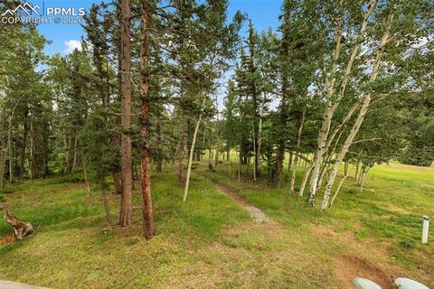Tiny photo for 50 Worley Road, Divide, CO 80814 (MLS # 7349814)