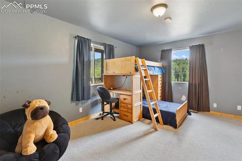Tiny photo for 50 Worley Road, Divide, CO 80814 (MLS # 7349814)