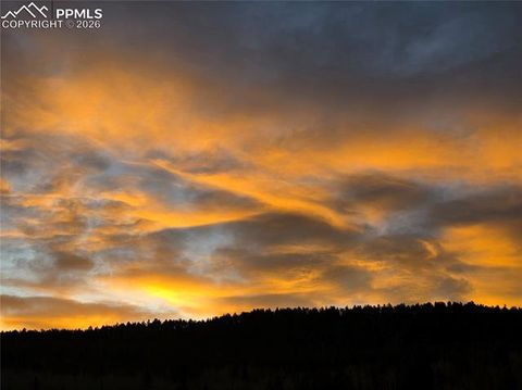 Tiny photo for 50 Worley Road, Divide, CO 80814 (MLS # 7349814)