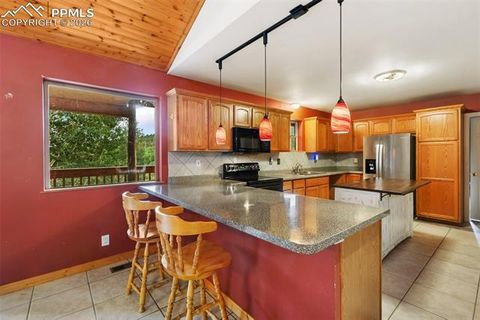 Tiny photo for 50 Worley Road, Divide, CO 80814 (MLS # 7349814)