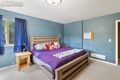 Tiny photo for 50 Worley Road, Divide, CO 80814 (MLS # 7349814)