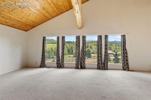 Tiny photo for 50 Worley Road, Divide, CO 80814 (MLS # 7349814)