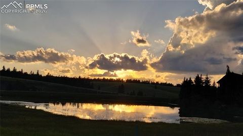 Tiny photo for 50 Worley Road, Divide, CO 80814 (MLS # 7349814)