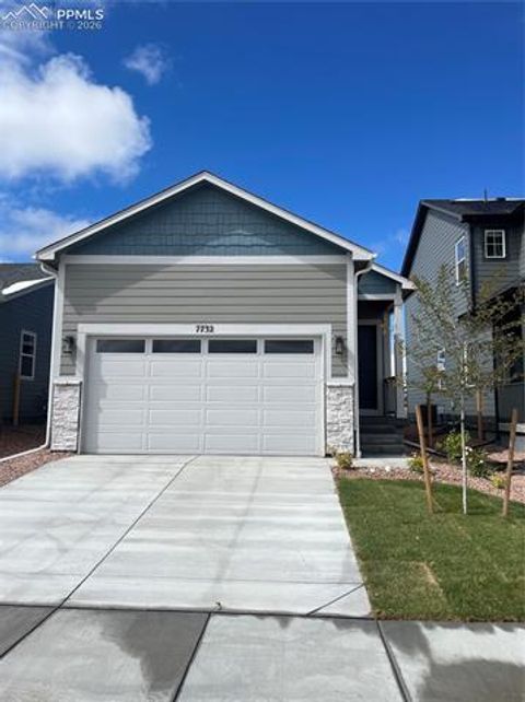 Photo of 7732 Clear Amber Place, Colorado Springs, CO 80908 (MLS # 3591463)