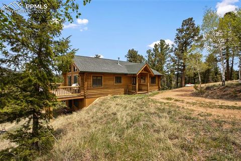 215 Horn Creek Trail Florissant CO 80816