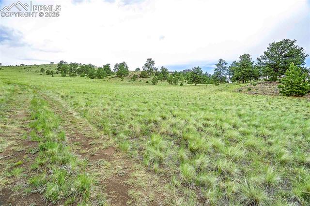 Tract 10 County Road 102