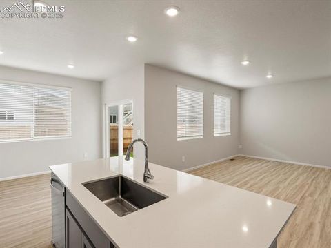 Tiny photo for 11363 Saugeye Street, Colorado Springs, CO 80925 (MLS # 8485420)