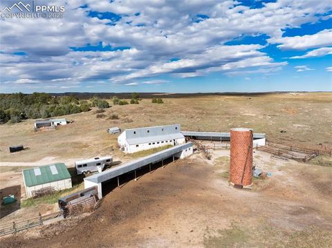 Tiny photo for 11987 N Peyton Highway, Peyton, CO 80831 (MLS # 7240238)