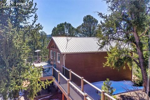 Photo of 493 Horseshoe Drive, Divide, CO 80814 (MLS # 3316147)