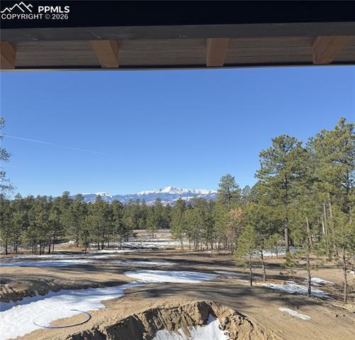 14432 Quartz Creek Drive