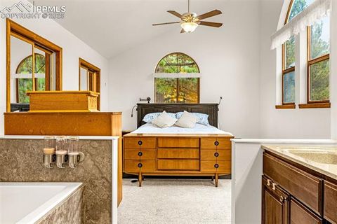 Tiny photo for 880 Sun Valley Drive, Woodland Park, CO 80863 (MLS # 7383121)