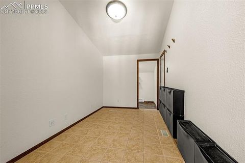 Tiny photo for 880 Sun Valley Drive, Woodland Park, CO 80863 (MLS # 7383121)