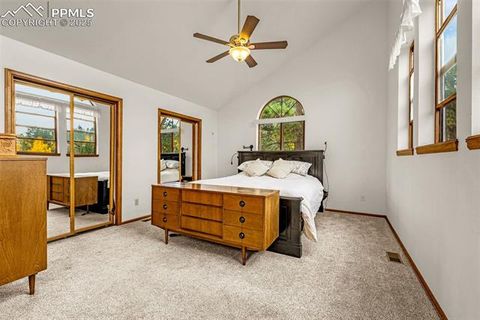 Tiny photo for 880 Sun Valley Drive, Woodland Park, CO 80863 (MLS # 7383121)