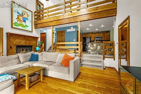 Tiny photo for 880 Sun Valley Drive, Woodland Park, CO 80863 (MLS # 7383121)