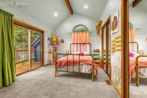 Tiny photo for 880 Sun Valley Drive, Woodland Park, CO 80863 (MLS # 7383121)