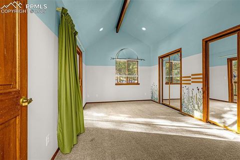 Tiny photo for 880 Sun Valley Drive, Woodland Park, CO 80863 (MLS # 7383121)