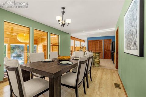 Tiny photo for 880 Sun Valley Drive, Woodland Park, CO 80863 (MLS # 7383121)