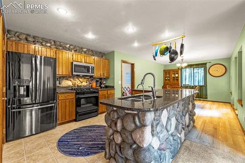 Tiny photo for 880 Sun Valley Drive, Woodland Park, CO 80863 (MLS # 7383121)