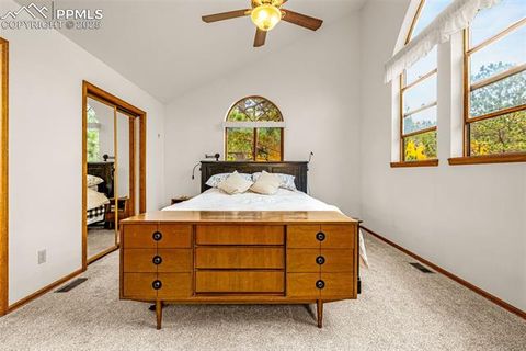 Tiny photo for 880 Sun Valley Drive, Woodland Park, CO 80863 (MLS # 7383121)